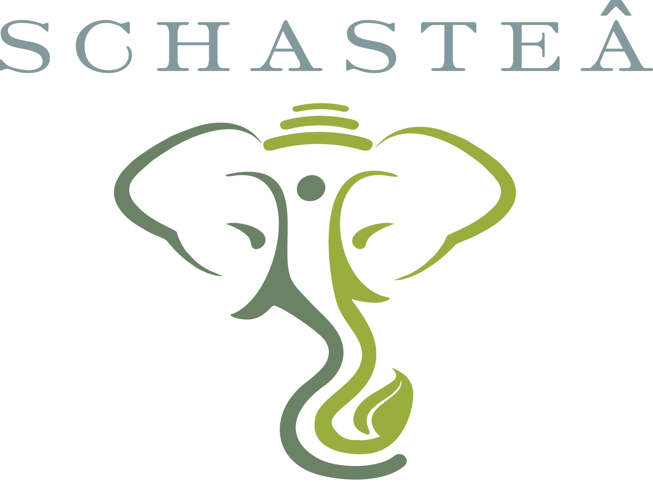 Gift Certificate (Webstore only) - Schasteâ