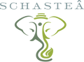 Gift Certificate (Webstore only) - Schasteâ
