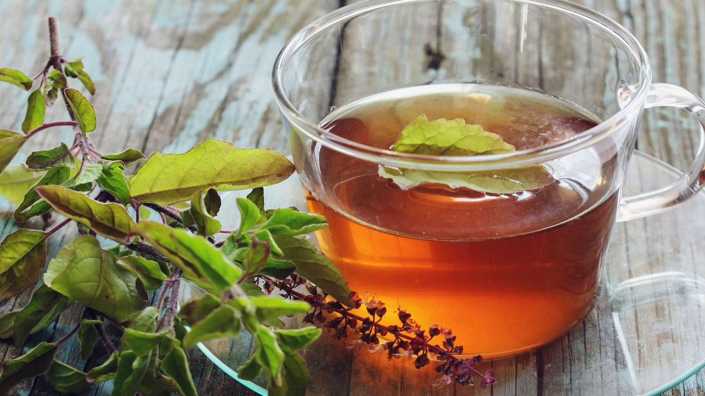 Where to Buy Fresh Tea in Providence